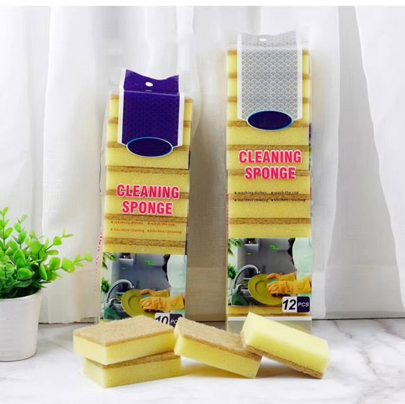 Sponge fiore doccia Top 5 Guide di acquisto